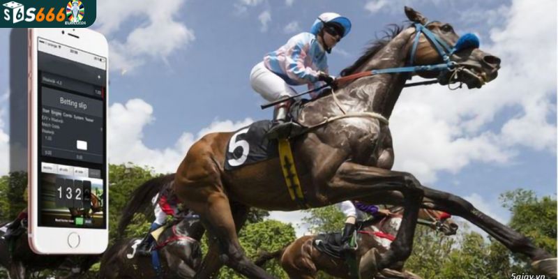 Khám phá thông tin về cá cược đua ngựa