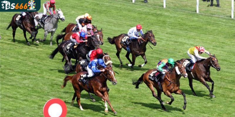 Tham gia cá cược đua ngựa dễ dàng chỉ sau 5 bước