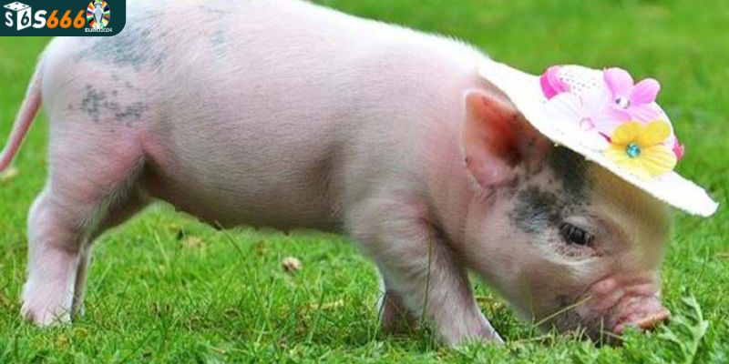 Con heo đánh số mấy mang lại tài lộc và may mắn