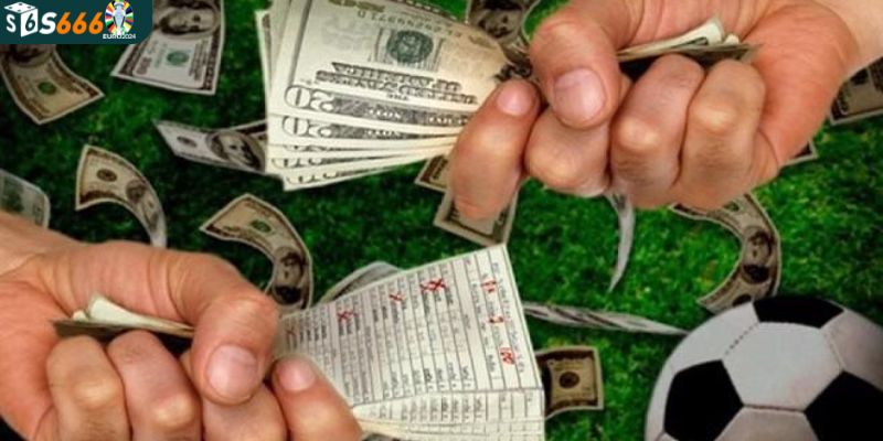 Thông tin khái quát về cá cược bóng đá 