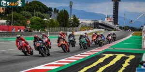 Bí kíp cá cược thể thao đua xe của các chuyên gia