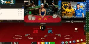 Áp dụng mẹo hay khi chơi rồng hổ từ các cao thủ